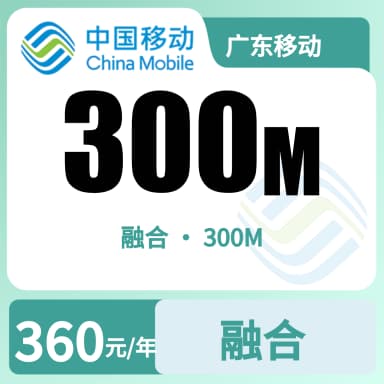 广东移动300M-1000M全家享套餐原图