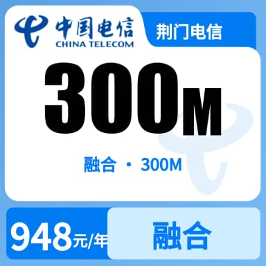荆门电信300M融合宽带套餐原图