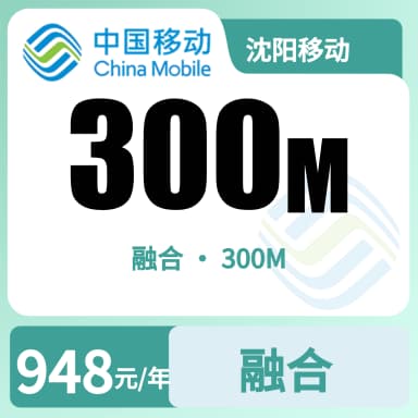 沈阳移动300M融合宽带套餐原图