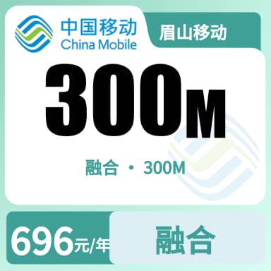 眉山移动300M融合宽带套餐原图