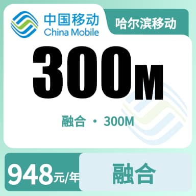 哈尔滨移动300M融合宽带套餐原图