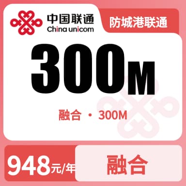 防城港联通300M融合宽带套餐原图