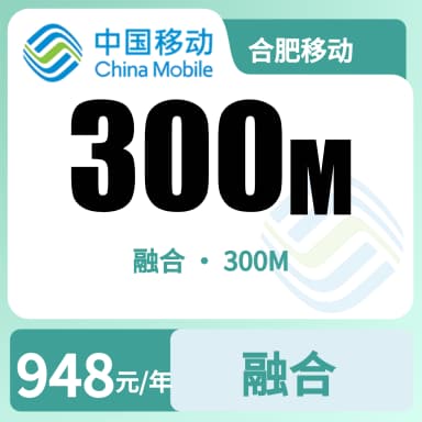 合肥移动300M融合宽带套餐原图