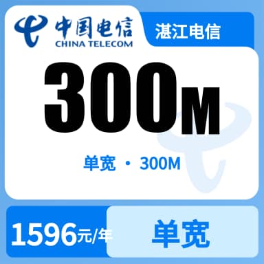 湛江电信300M单宽套餐原图