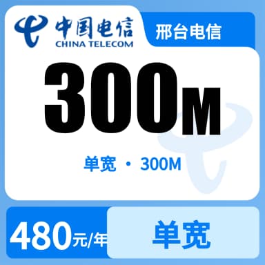 邢台电信300M单宽套餐原图