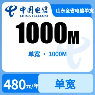 山东全省电信单宽1000m480/半年（666）套餐原图