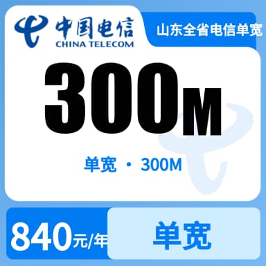 山东全省电信单宽300m840/两年（660）套餐原图