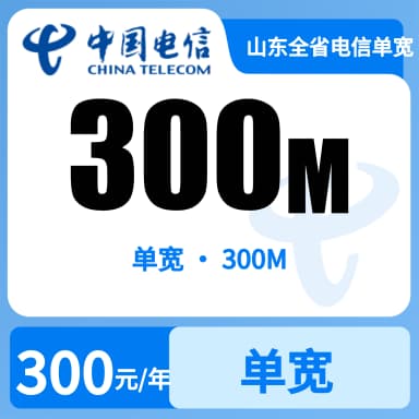 山东全省电信单宽300m300/半年（658）套餐原图