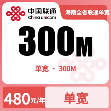 海南全省联通单宽300m480/年套餐原图